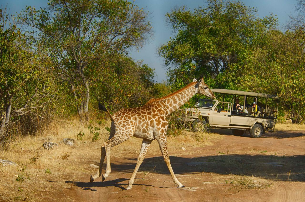 Tlouwana Camp Villa Kasane Bagian luar foto